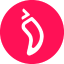 CHZ logo