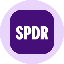 SPYon logo
